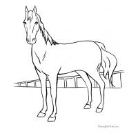 Realistic horse coloring pages