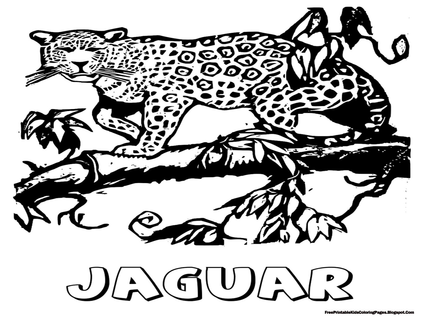 Jaguar Coloring Pages To Download And Print For Free