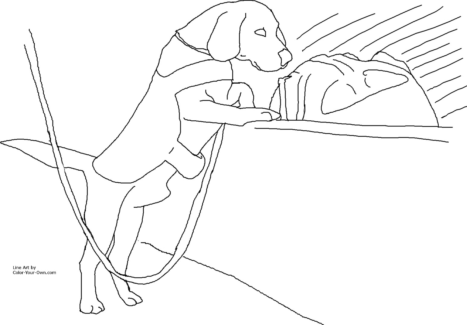 Beagle coloring pages to download and print for free