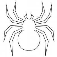 Spider coloring pages