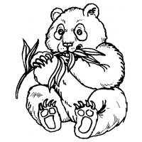 Panda bear coloring pages