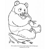 Panda bear coloring pages