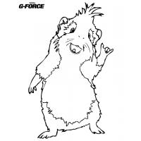 Guinea pig coloring pages