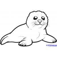 Fur seal coloring pages