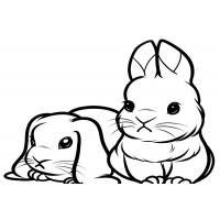 Cute bunny coloring pages
