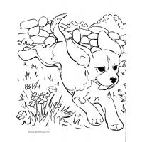 Puppy coloring pages