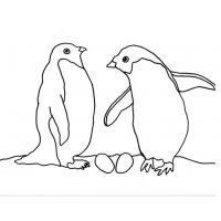 Penguins coloring pages