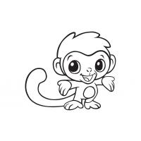 Baby monkey coloring pages