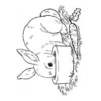 Real bunny coloring pages