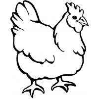 Hens coloring pages