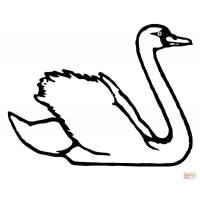 Swan coloring pages