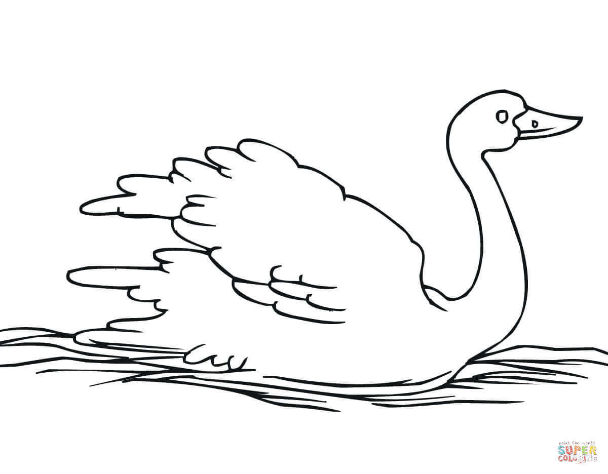 Swan coloring pages to download and print for free