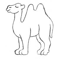 Camel coloring pages