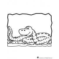 Python coloring pages