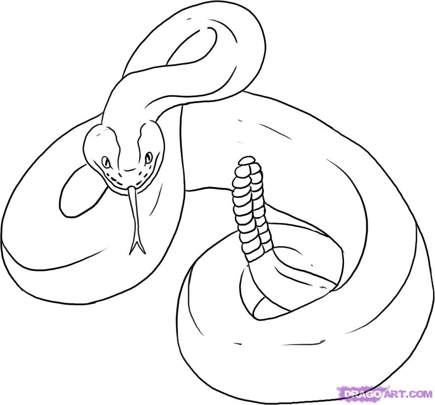 Отношения между змеей и змеей. Змея карандашом. Змея раскраска для детей. Змеи карандашом для срисовки. Змея рисунок карандашом для срисовки.