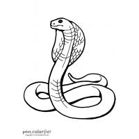 King cobra snake coloring pages