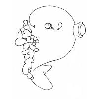 Whale coloring pages