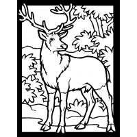 Deer coloring pages