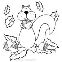 Squirrel coloring pages