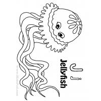 Jellyfish coloring pages