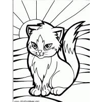 Cute kitten coloring pages
