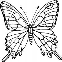 Monarch butterfly coloring pages