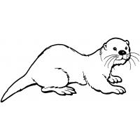 Otter coloring pages