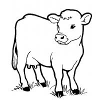 Farm animal coloring pages