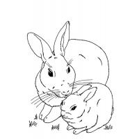 Baby bunnies coloring pages