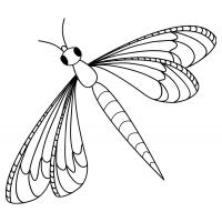 Dragonflies coloring pages