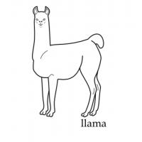 Llama coloring pages