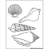 Beach shells coloring pages