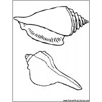 Beach shells coloring pages