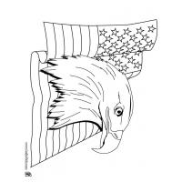 Bald eagle coloring pages