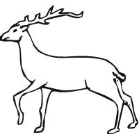 Red deer coloring pages