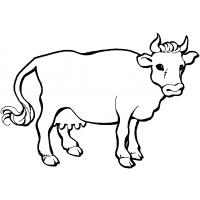 Cows coloring pages