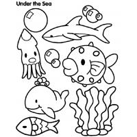 Sea animal coloring pages
