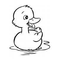 Ducks coloring pages