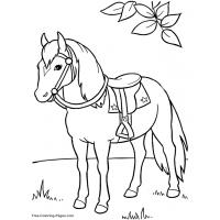 Horse coloring pages