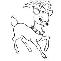 Baby reindeer coloring pages