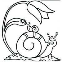 Snail coloring pages