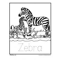 Zebra coloring pages