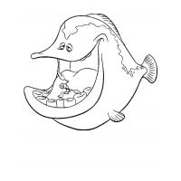 Barracuda coloring pages