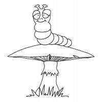 Caterpillar coloring pages