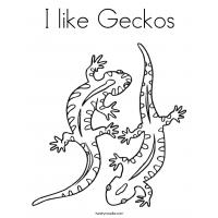 Gecko coloring pages