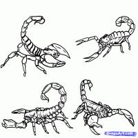 Scorpion coloring pages