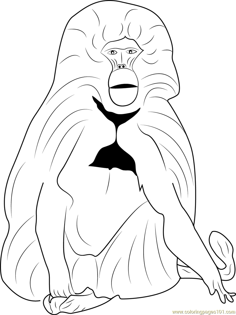 baboon-coloring-pages-download-and-print-for-free