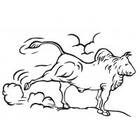 Bull coloring pages