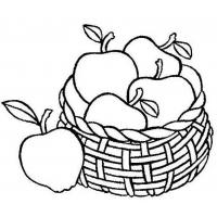 Apple coloring pages