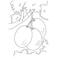 Plum coloring pages